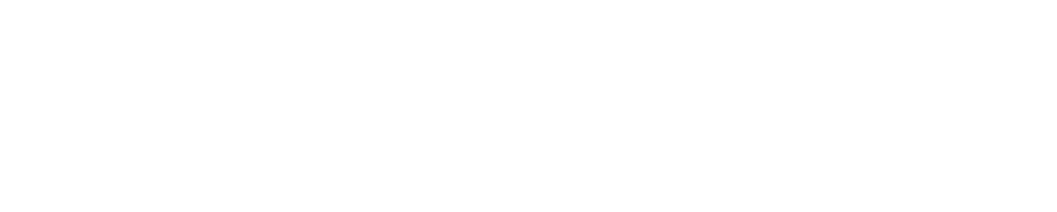  Volkswagen Lichtenberg Professorship